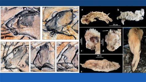 Two of the most well-preserved Ice Age lion cubs discovered in Siberian ...