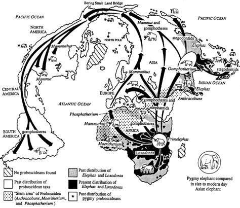 Understanding proboscidean evolution: a formidable task: Trends in ...