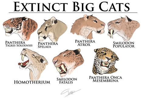 Prehistoric Cats