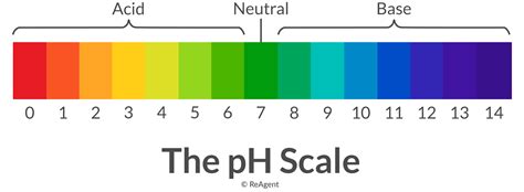 What’s The Reaction Between An Acid And A Base?