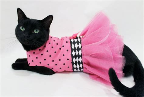 pink animals - Google Search Pet Fashion, Animal Fashion, Fashion ...