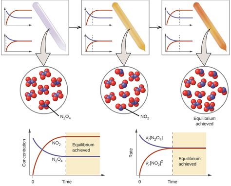 13.1 Chemical Equilibria – Chemistry 112- Chapters 12-17 of OpenStax ...