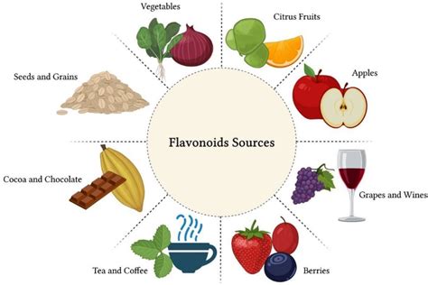 Biological Properties of Flavonoids | Encyclopedia MDPI