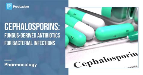 Cephalosporins: Fungus-Derived Antibiotics for Bacterial Infections