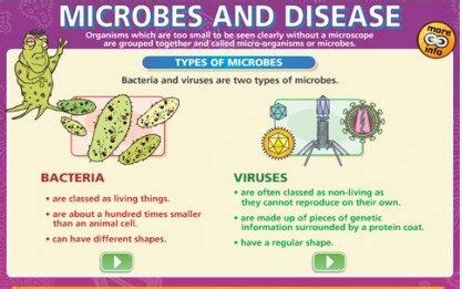 Harmful Microorganisms - Types and Harmful Effects on Human Body