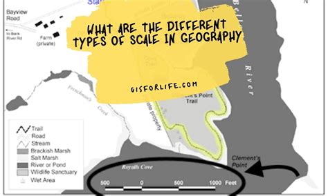 What Are the Different Types of Scale in Geography | GIS for LIfe