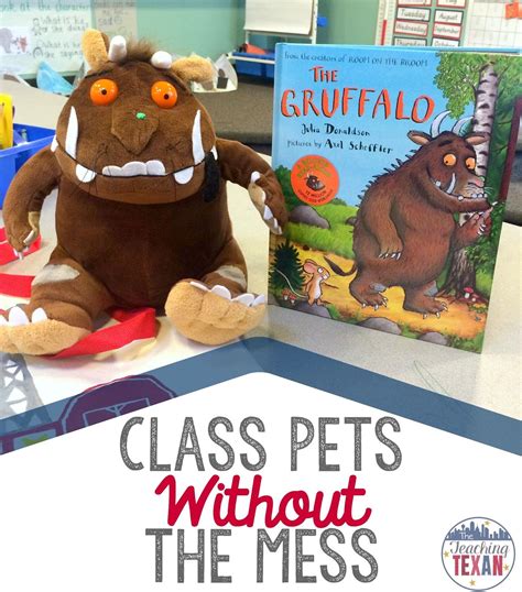 Class Pets Without the Mess | Class pet, Classroom activities, Pets