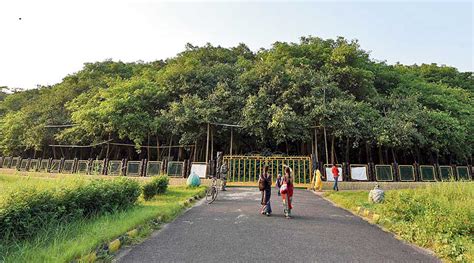 Acharya Jagadish Chandra Bose Indian Botanic Garden | Cyclone: Amphan ...