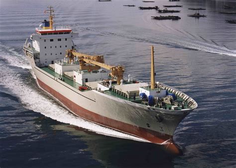 118 m. Reefer Vessel - Freire Shipyard | Cargo shipping, Model ships, Cargo