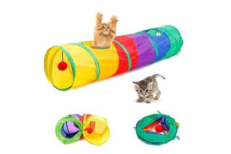 8 Best Toys and Accessories for Your Cat