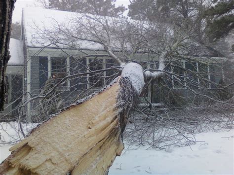 broken tree on house in need of tree removal | Cape Cod Tree Service