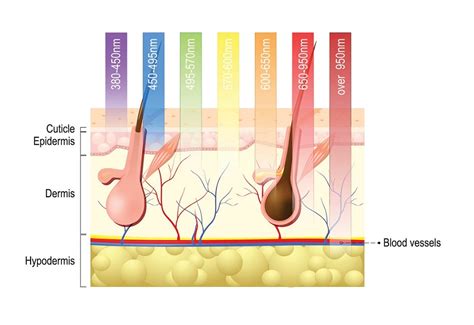 What You Need To Know About LED Light Therapy