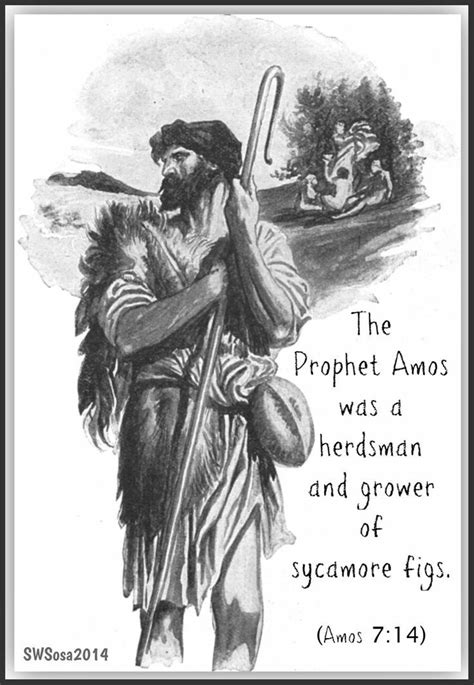 The prophet Amos was a herdsman and a tree cultivar. | Amos bible ...