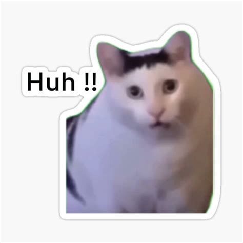 "huh cat meme viral huh? meme" Sticker for Sale by joy4shirt | Redbubble