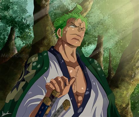 HD wallpaper: bubbles, One Piece, Roronoa Zoro | Wallpaper Flare