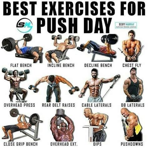 the best exercises for push day are shown in this poster, which shows ...