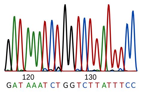 What is DNA Sequencing and how does it work? | Experiment