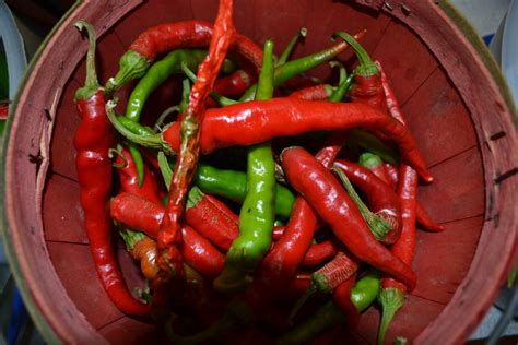 What is capsaicin? - New Creations Farm