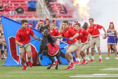 Look: College Football Game Was Delayed After Live Mascot Pooped On ...