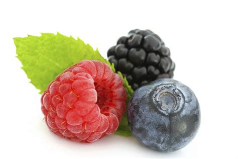 The potential gut health benefits of berries offer fruitful research area