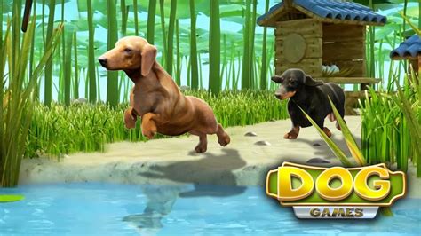 Dog Games APK for Android Download