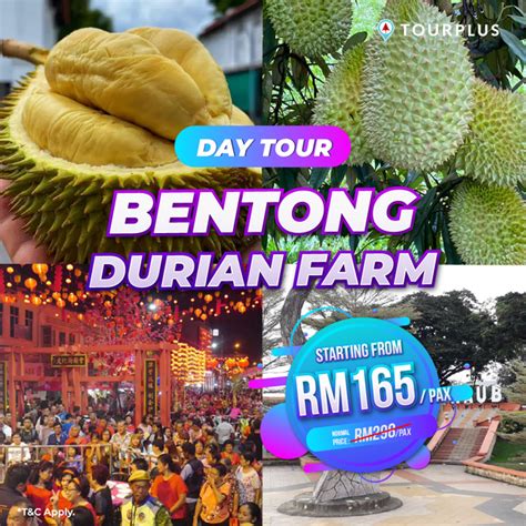 10 hours Bentong Durian Farm Day Tour 彭亨榴莲一日游之旅 【10小时】 | Tourplus ...