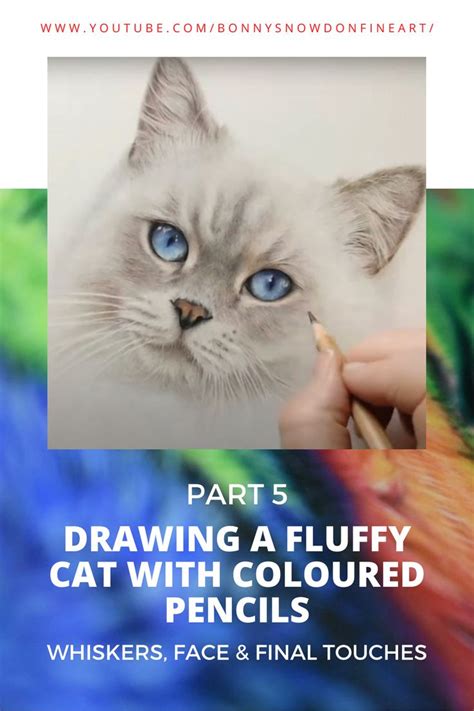 Drawing a Fluffy Cat in Coloured Pencils - Part 5 | Coloured pencils ...