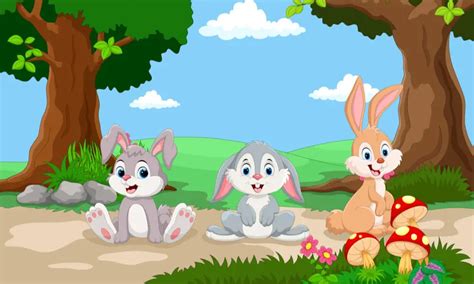 Bunny Cartoon