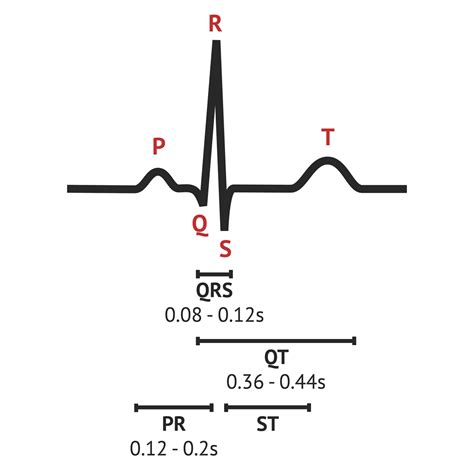 The Normal Ecg Trace Ecg Basics Medschool - Bank2home.com