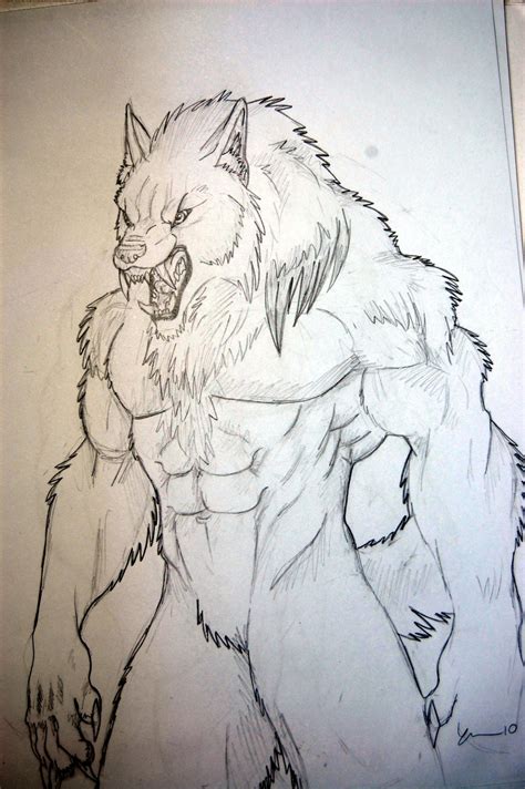 Wolfman Drawing at GetDrawings | Free download