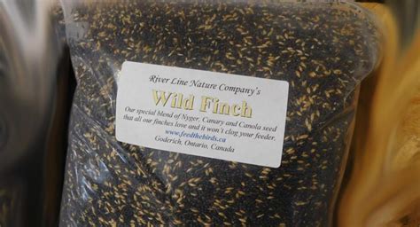 Wild Bird Seed | River Line Nature Company