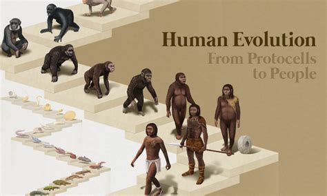 Future Human Evolution