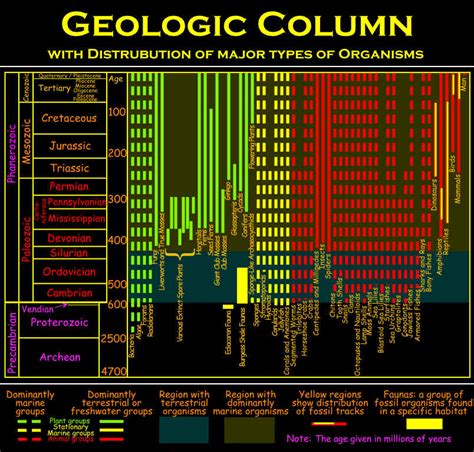 The Geologic Column