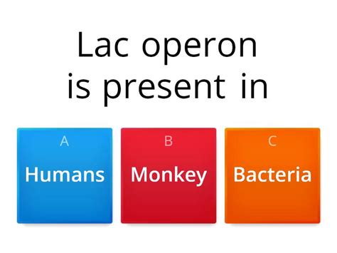 lac operon - Quiz