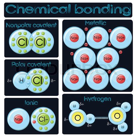 Types of chemical bonding diagram. ... | Stock vector | Colourbox