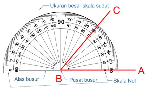 Sudut | 7 Jenis Sudut Tumpul, Lancip, Siku, Refleks, Lurus, 0º, dan Penuh