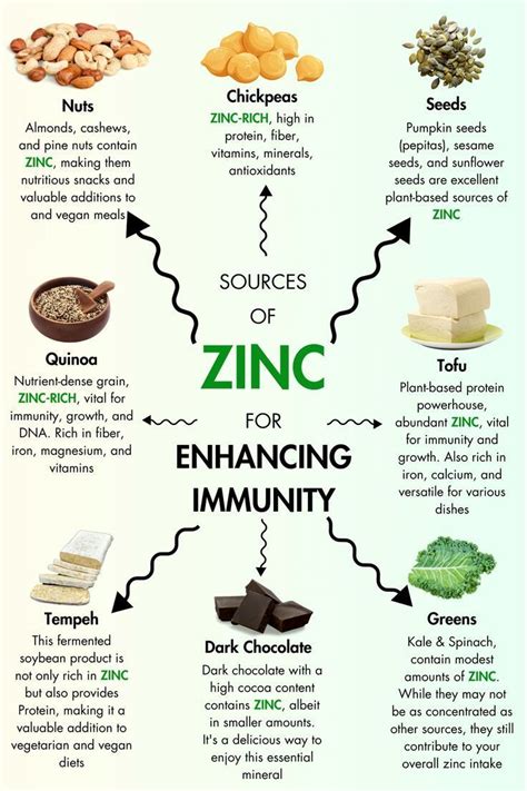 8 zinc rich foods to enhance immunity – Artofit