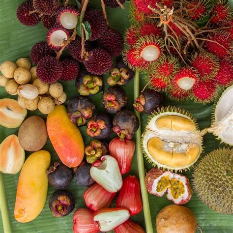 malaysian fruits and vegetables - Justin Huang