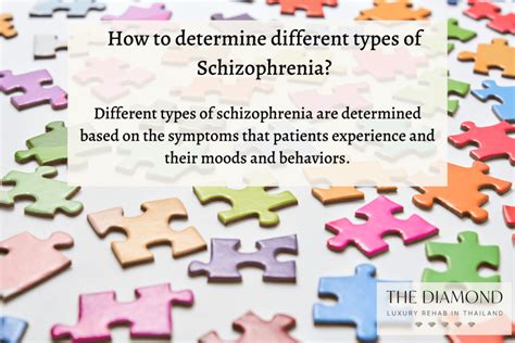 8 Types of Schizophrenia and their differences - The Diamond Rehab Thailand