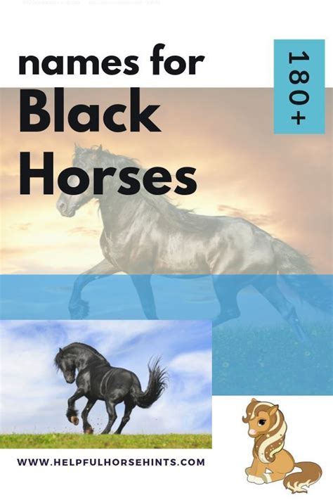 180+ Names for Black Horses | Black horses, Horses, Black stallion movie