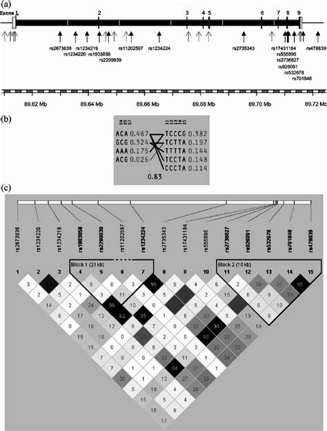 Variation in the human PTEN gene. ( a ) The genomic structure of the ...