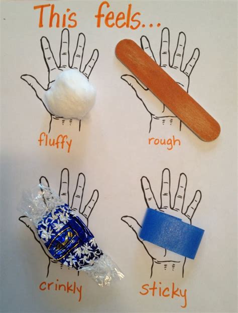 The Five Senses (Touch) | Senses preschool, Five senses preschool ...