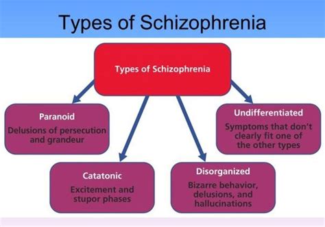 5 Different Types Of Schizophrenia One Must Know About