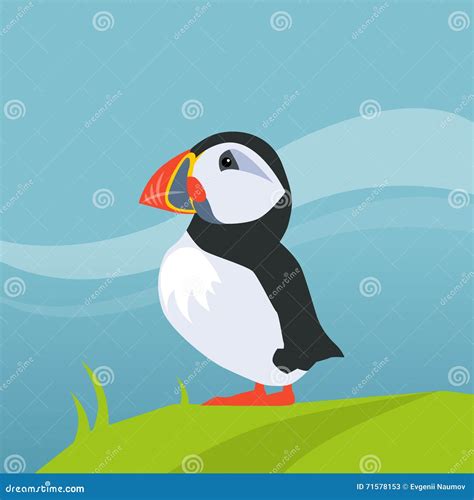 Puffin Bird in Iceland stock vector. Illustration of country - 71578153