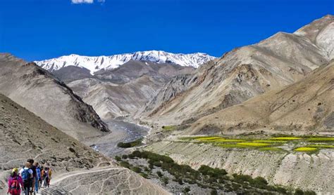 Top 14 Trails for Trekking in Ladakh| Holidify