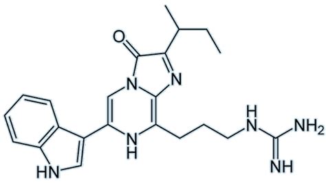 Luciferin - Molecule of the Month - November 2019 (HTML version)