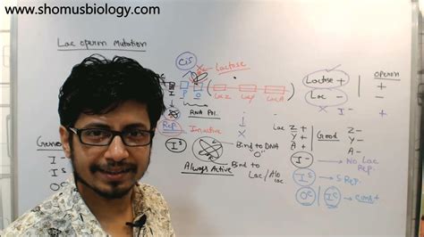 Lac operon mutations explained | problems and answers - YouTube