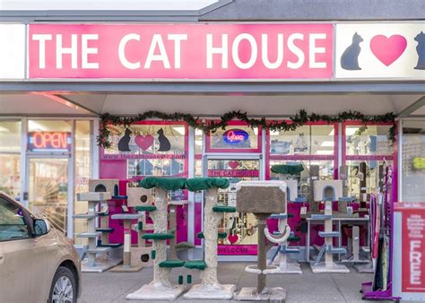 The Cat House Inc Calgary Business Story