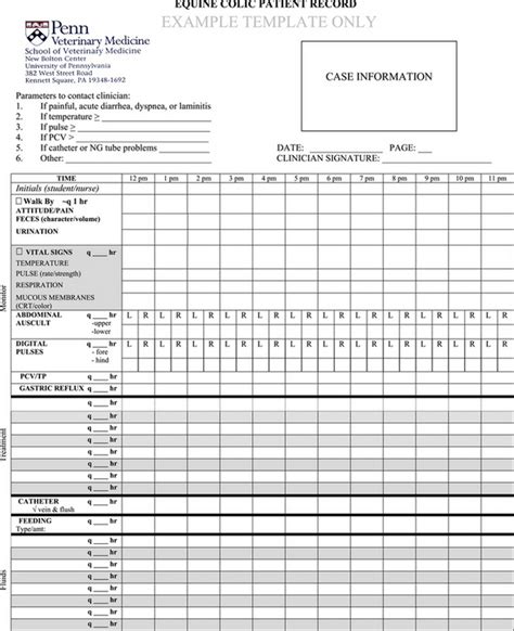 Medical Management of Horses After Colic Surgery | Veterian Key