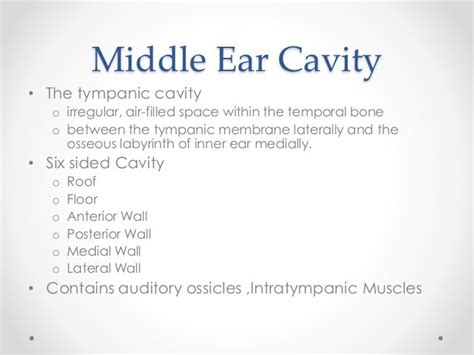 [DIAGRAM] Diagram Of Middle Ear Cavity - MYDIAGRAM.ONLINE